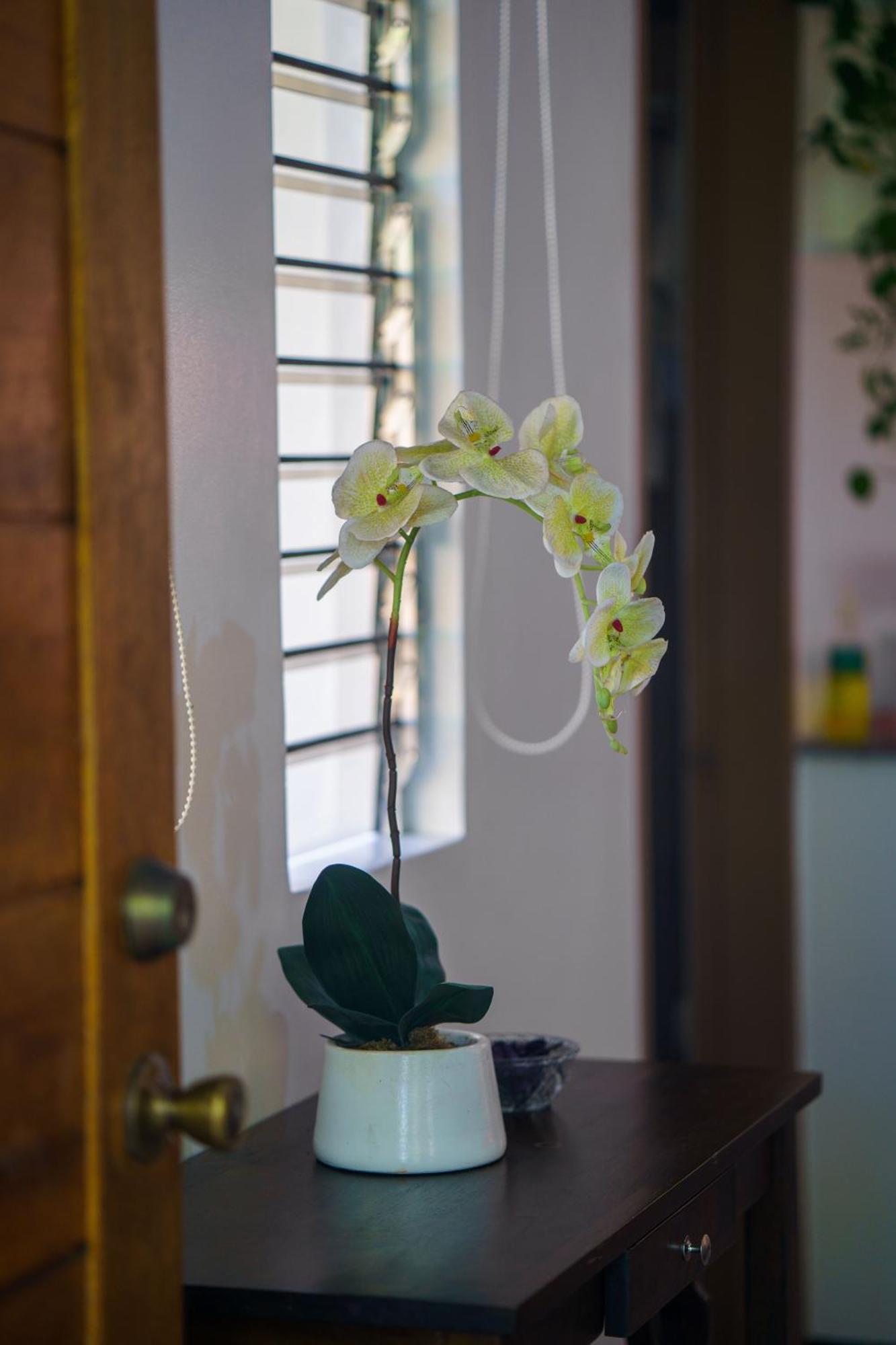 Weyh'S Studio #1 By The Ocean 100Mbps Đảo Đảo Panglao Ngoại thất bức ảnh