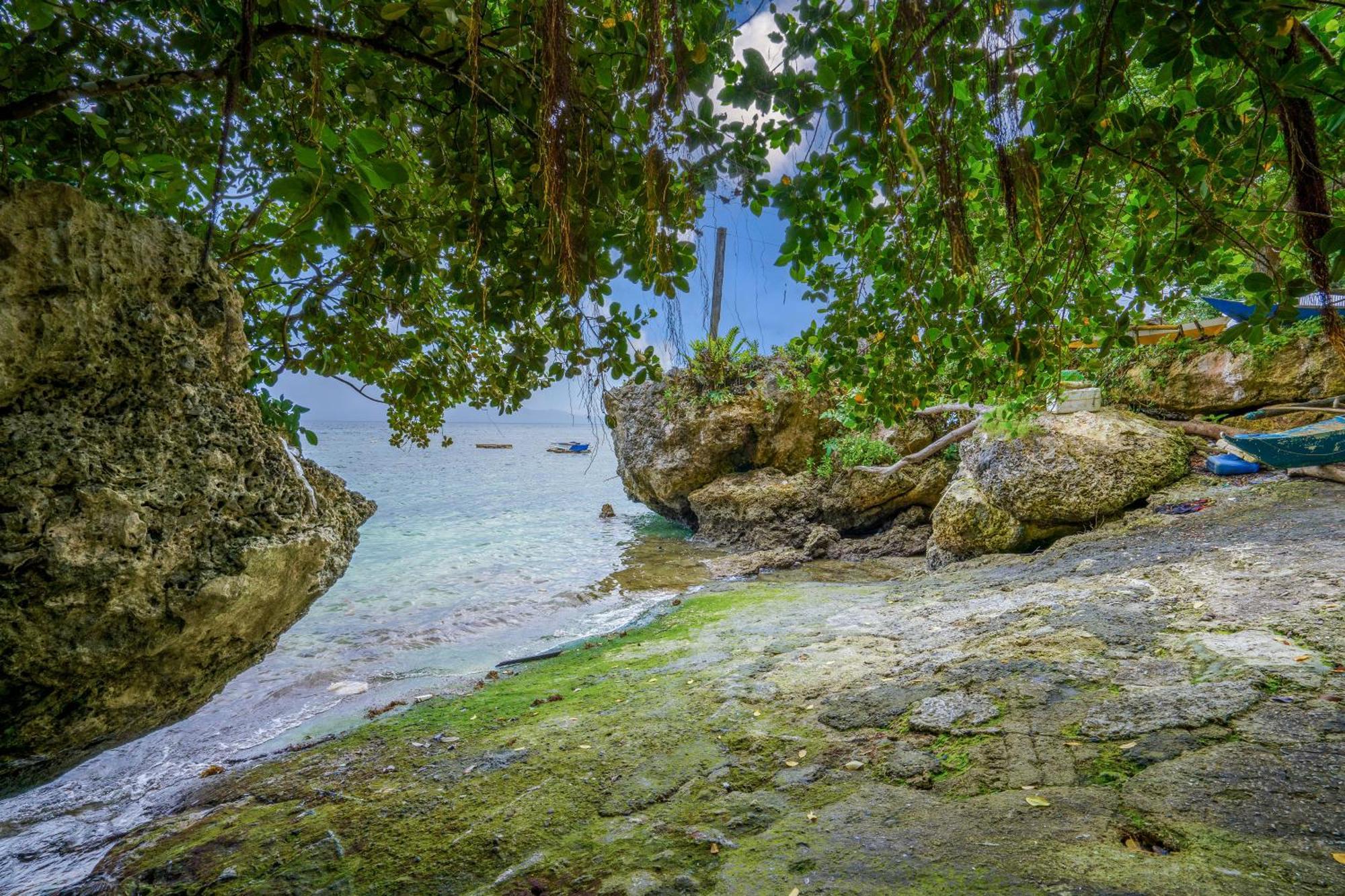 Weyh'S Studio #1 By The Ocean 100Mbps Đảo Đảo Panglao Ngoại thất bức ảnh