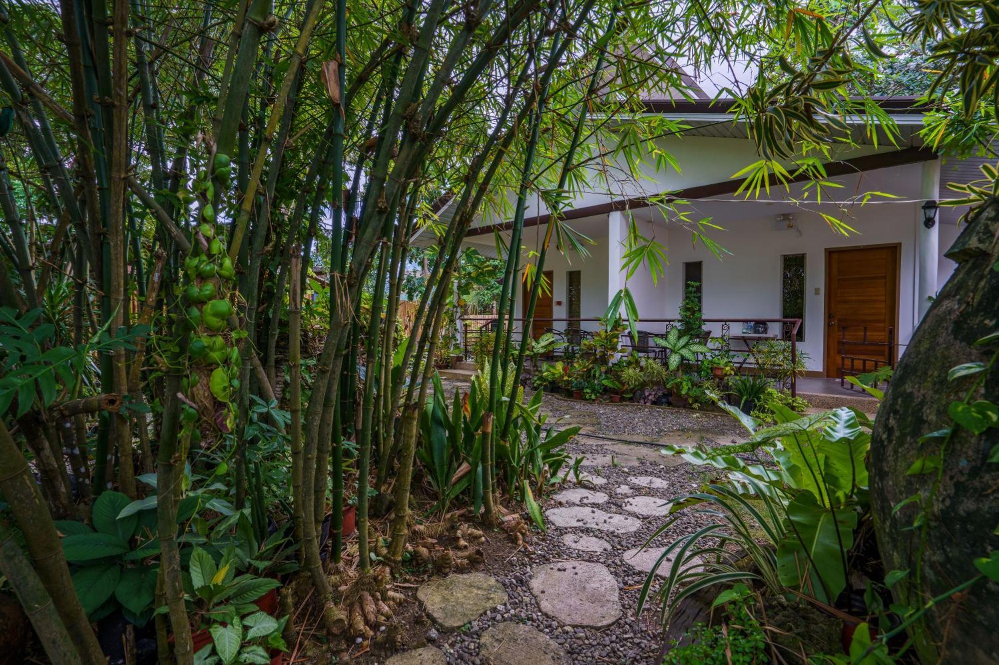 Weyh'S Studio #1 By The Ocean 100Mbps Đảo Đảo Panglao Ngoại thất bức ảnh