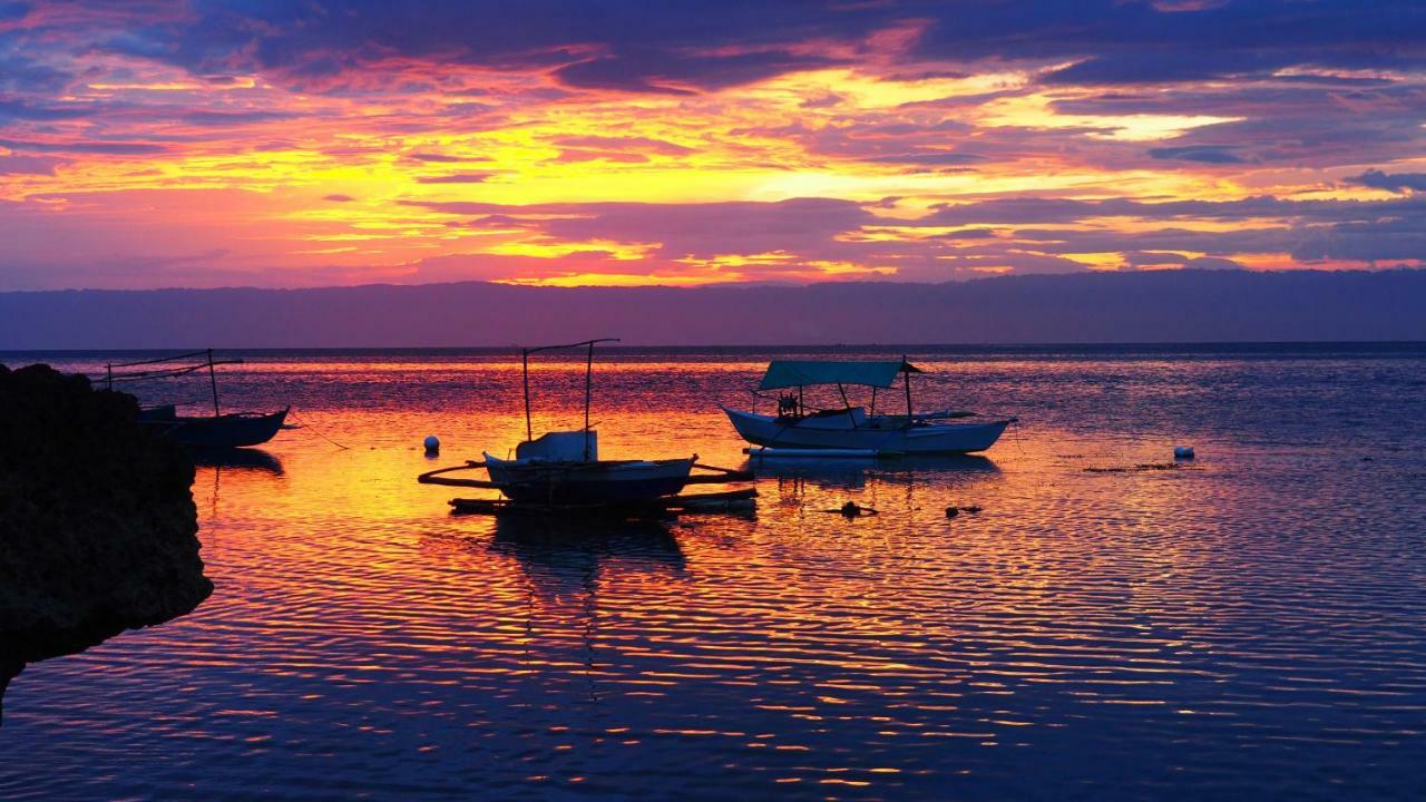 Weyh'S Studio #1 By The Ocean 100Mbps Đảo Đảo Panglao Ngoại thất bức ảnh